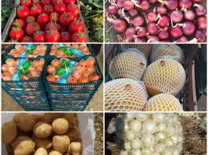 صادرات میوه و تره بار به کشور های عراق،امارات،ترکمنستان،هندوستان