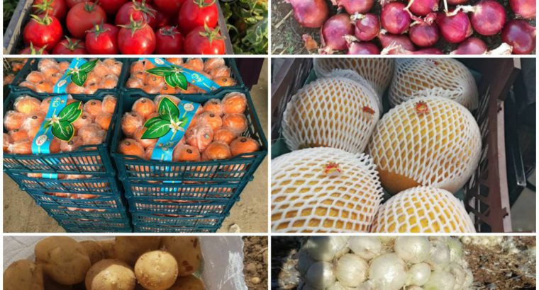 صادرات میوه و تره بار به کشور های عراق،امارات،ترکمنستان،هندوستان