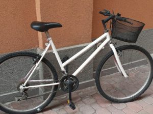 فروش دوچرخه دنده ای در میلان