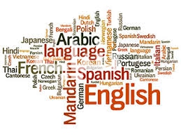 تدریس آنلاین خصوصی زبان ترکی استانبولی