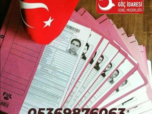 شرکت بیمه در ترکیه