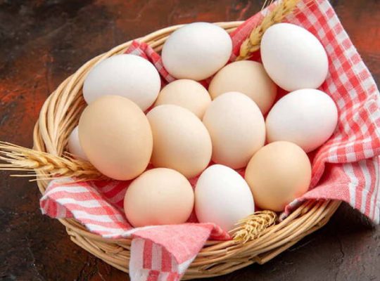 صادرات تخم مرغ (همه چیز در مورد صادرات تخم مرغ)